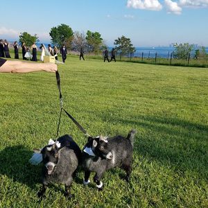 Meet your Posher, Karen